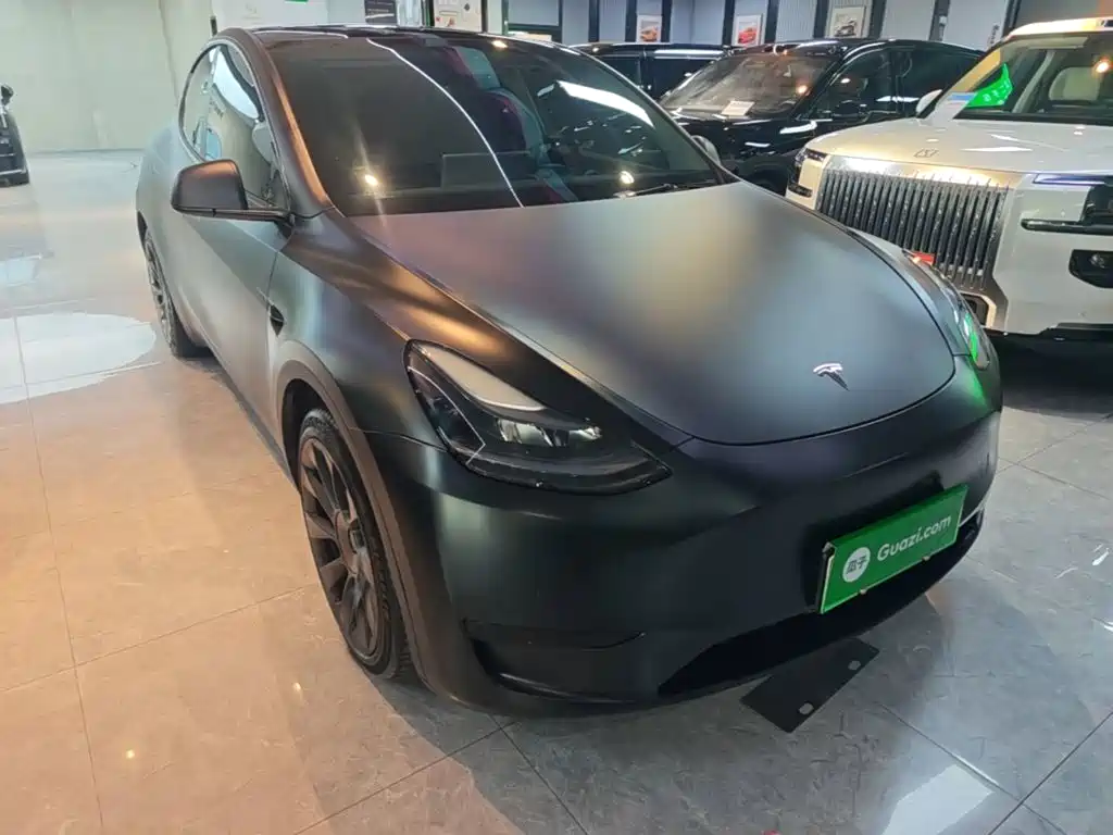 Tesla Model Y — миниатюра 4