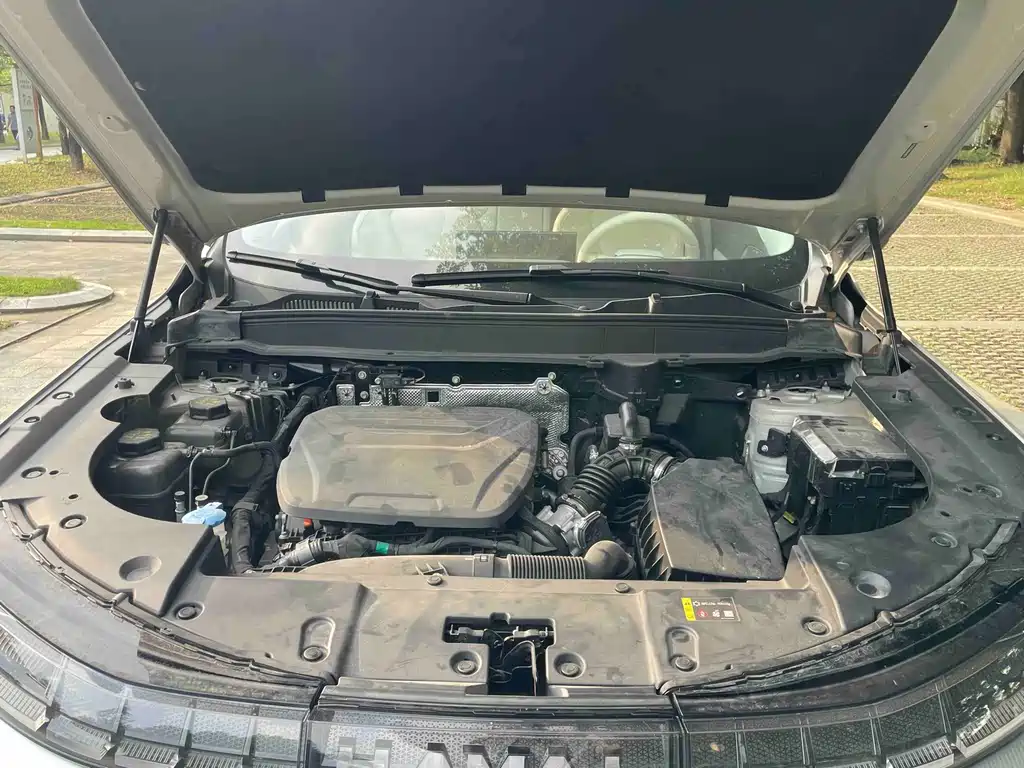 Haval Xiaolong MAX — миниатюра 13