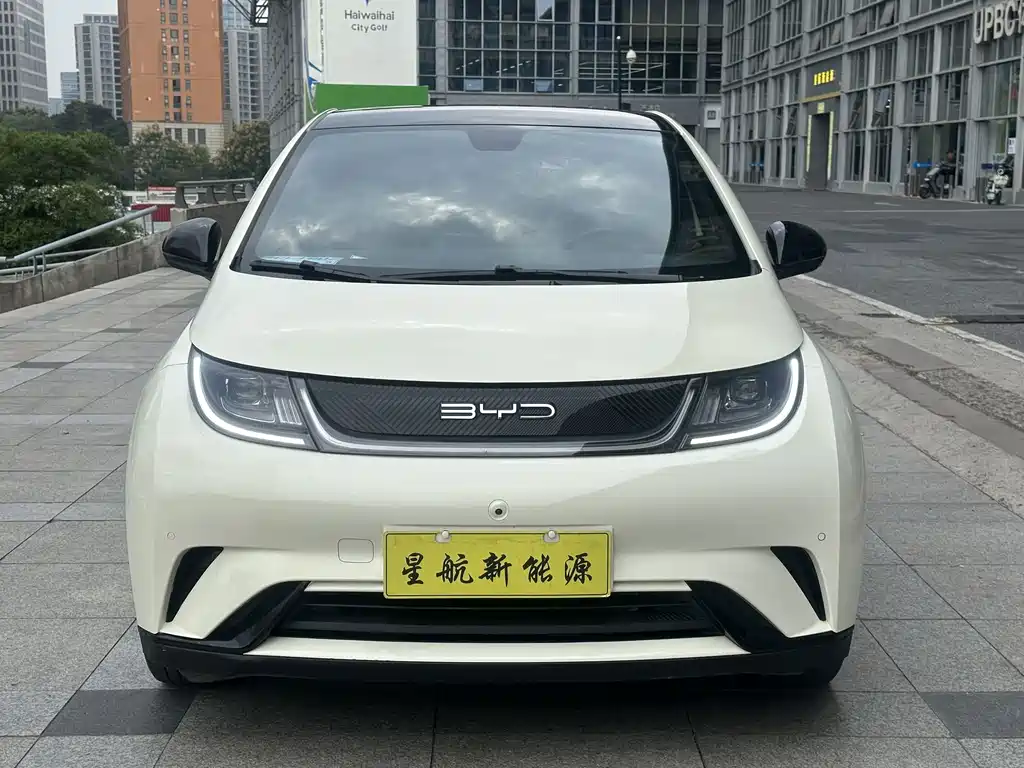 BYD Dolphin — миниатюра 2