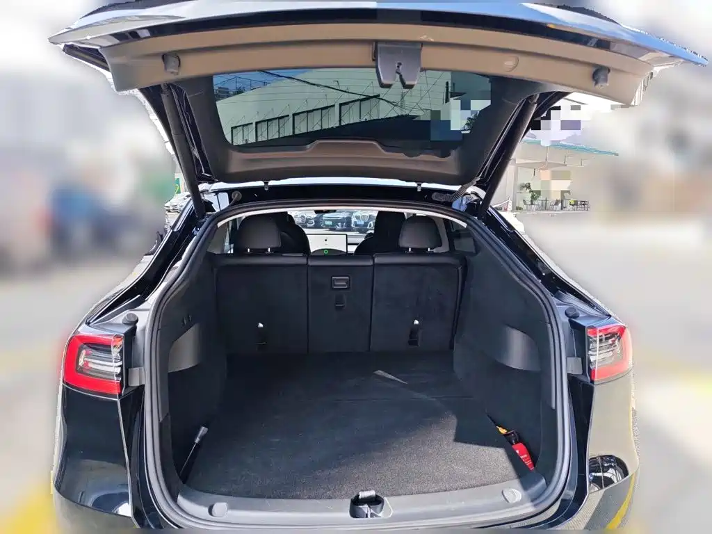 Tesla Model Y — миниатюра 20