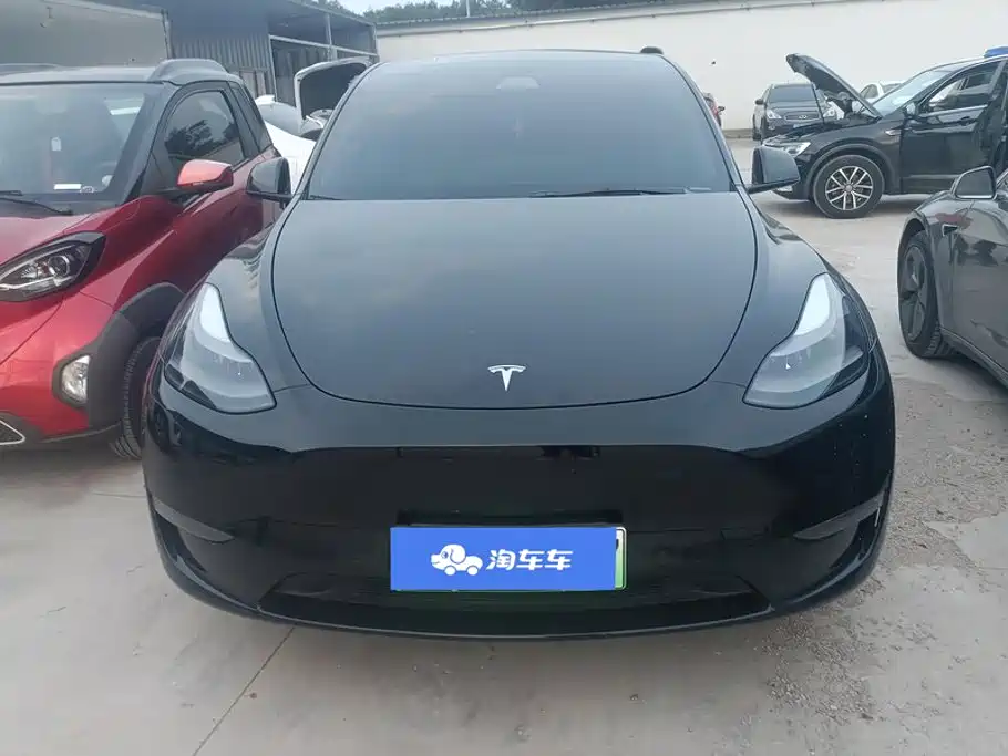 Tesla Model Y — миниатюра 2