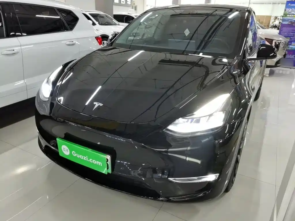 Tesla Model Y — миниатюра 2
