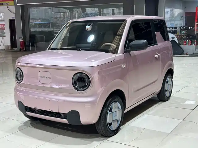 GEELY GALAXY PANDA 2024