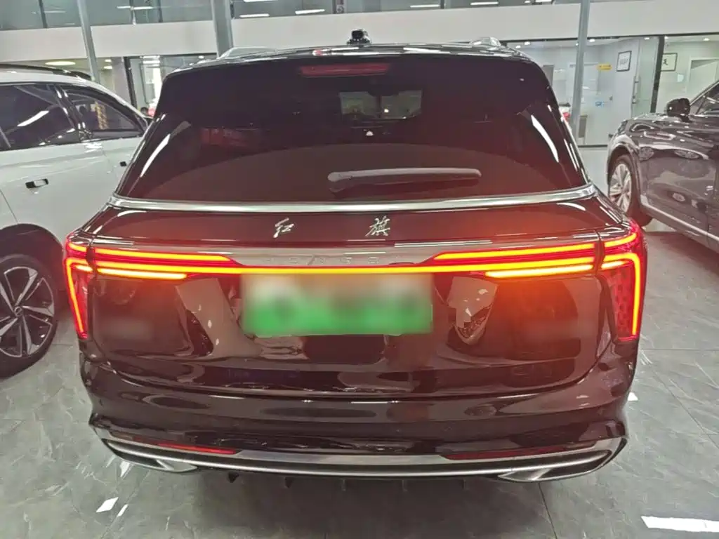 Hongqi Hongqi E-HS9 — миниатюра 6