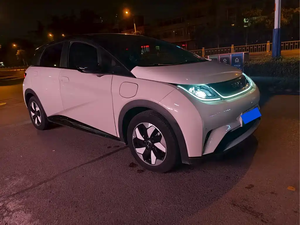 BYD Dolphin — миниатюра 3