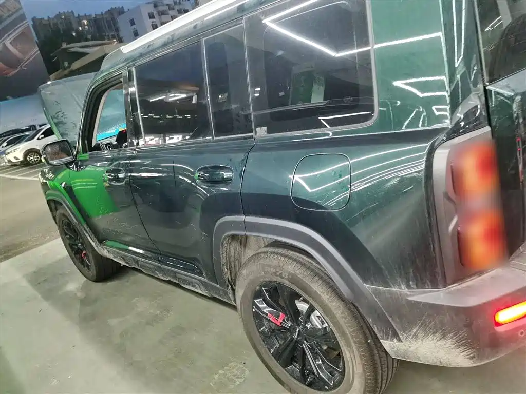 HAVAL  RAPTORS NEW ENERGY