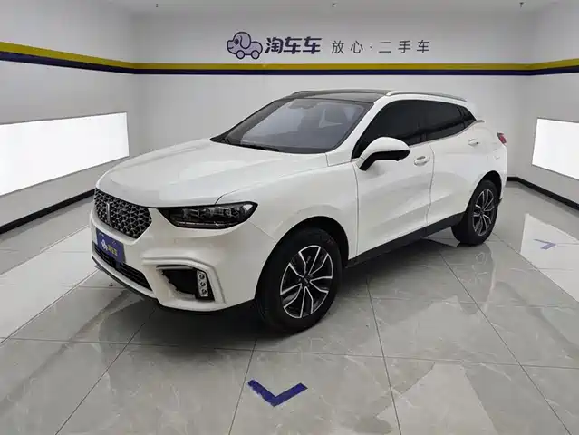 WEI PAI WEI BRAND VV5 2021