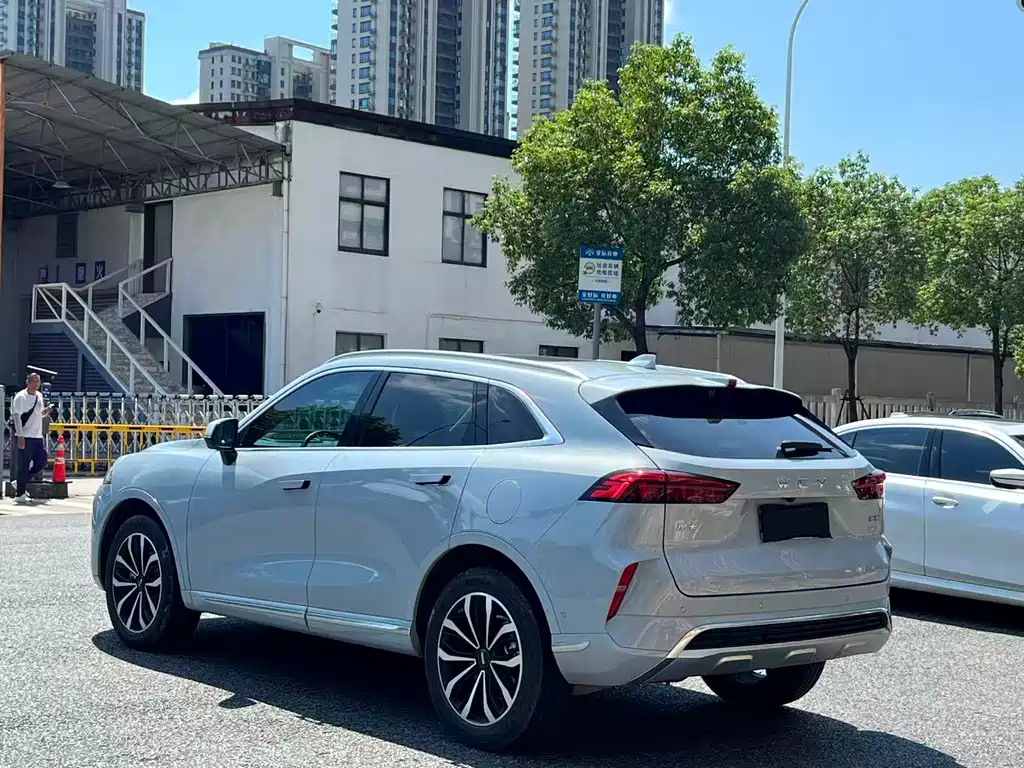 WEI PAI WEI BRAND MOCHA