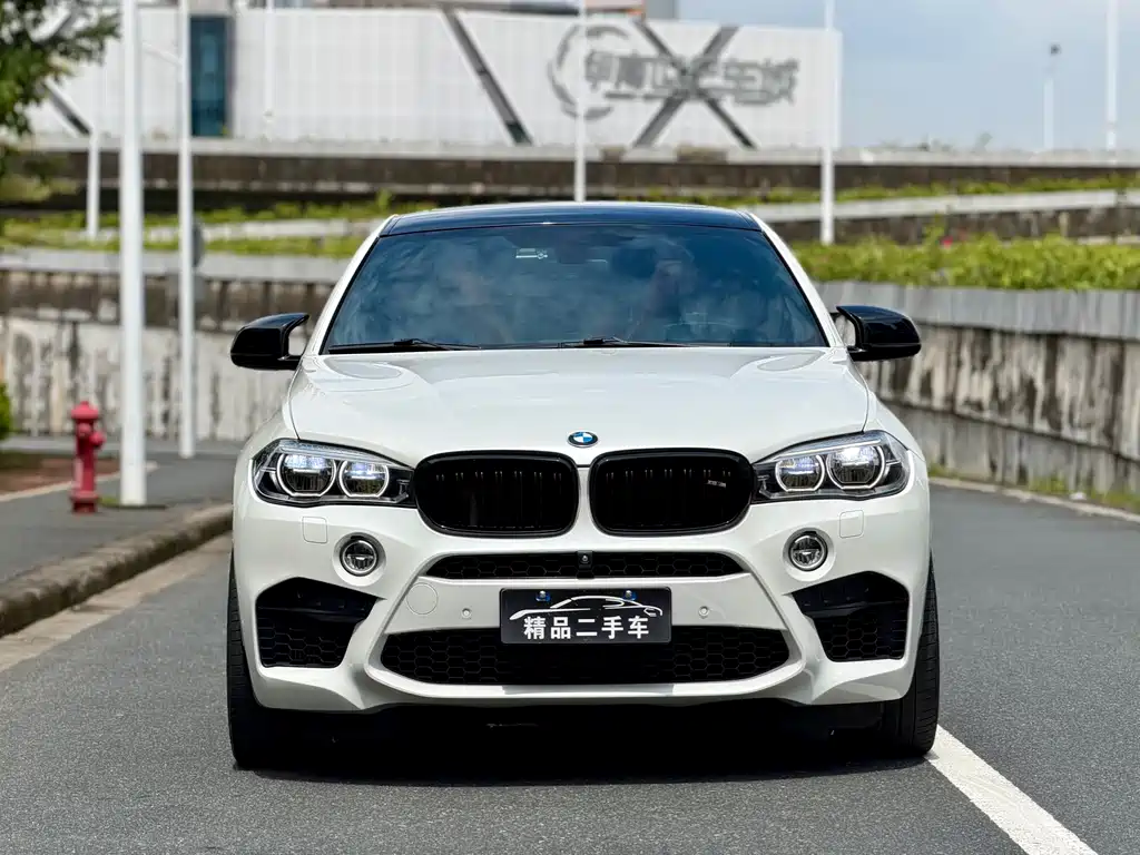 BMW X6 M X6 M, фото 2