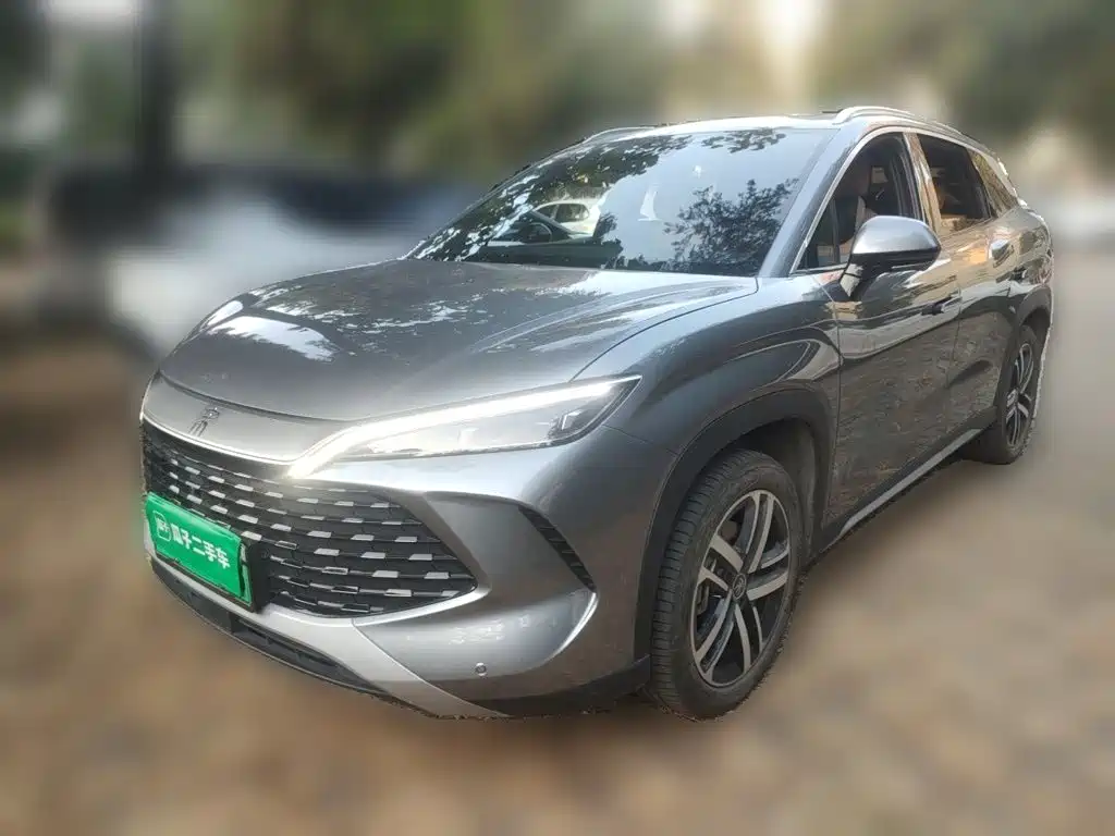 BYD L DM-i