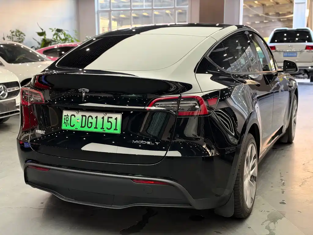 Tesla Model Y — миниатюра 9