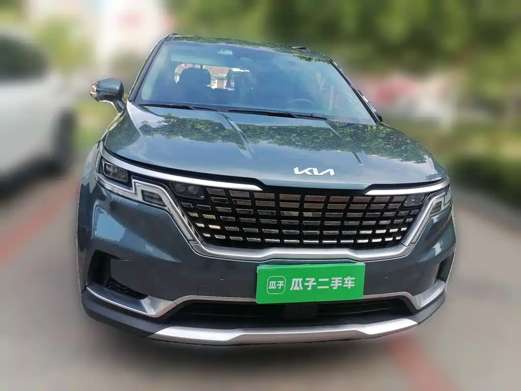 Kia Carnival — миниатюра 23