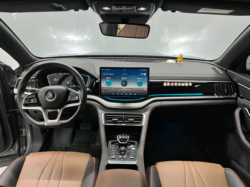 BYD PLUS — миниатюра 10