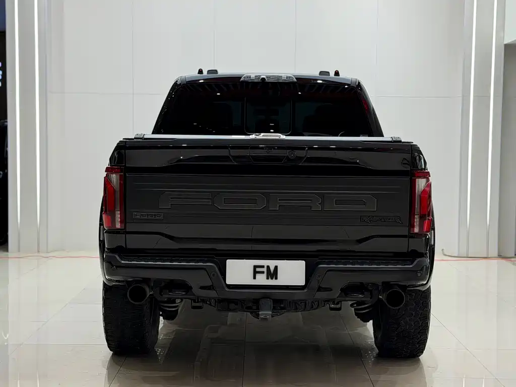 Ford F-150 Raptor — миниатюра 17