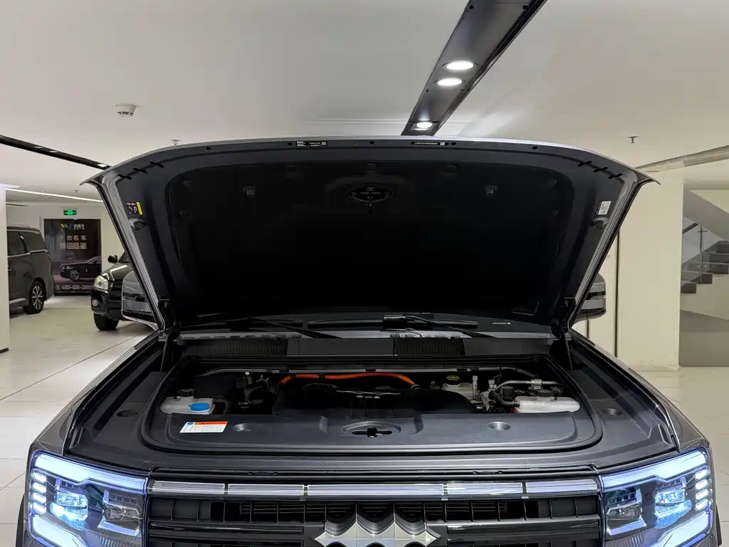 FANG CHENG BAO LEOPARD 5