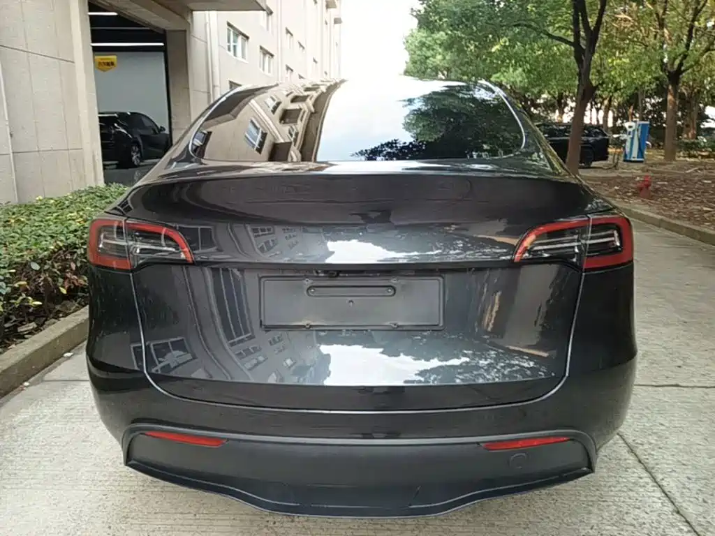 Tesla Model Y — миниатюра 6