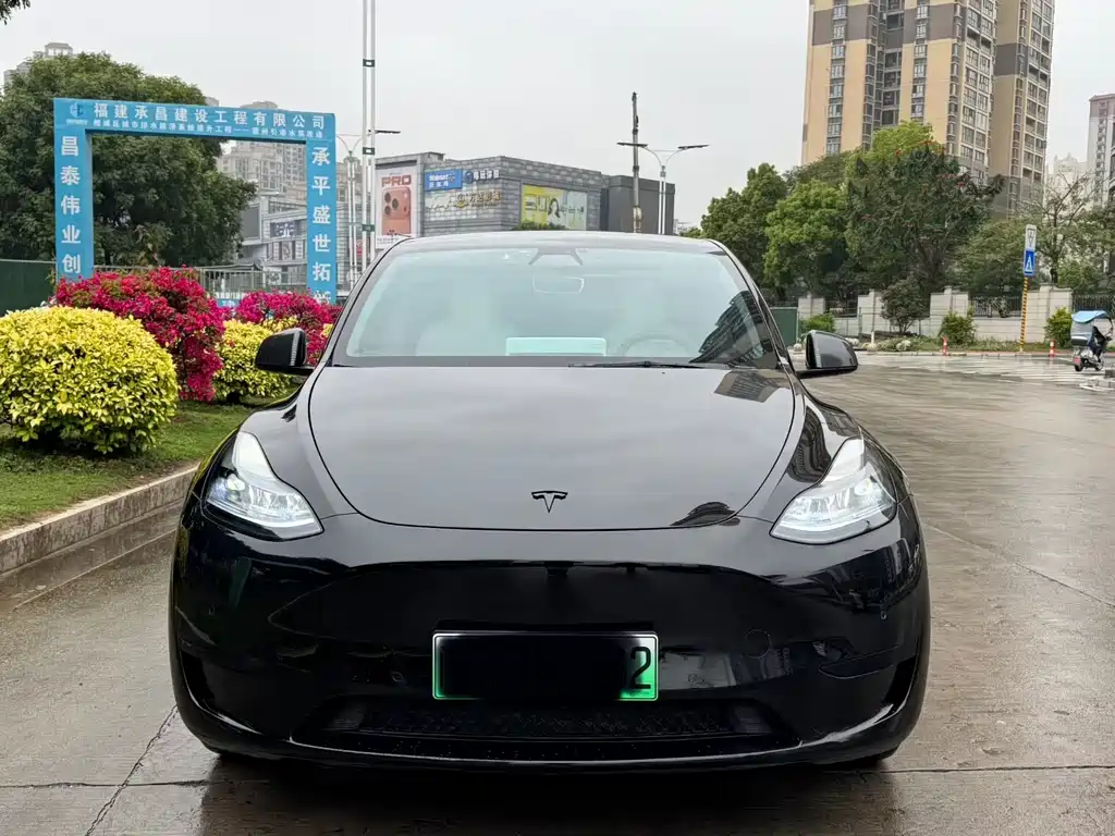 Tesla Model Y - фото 2