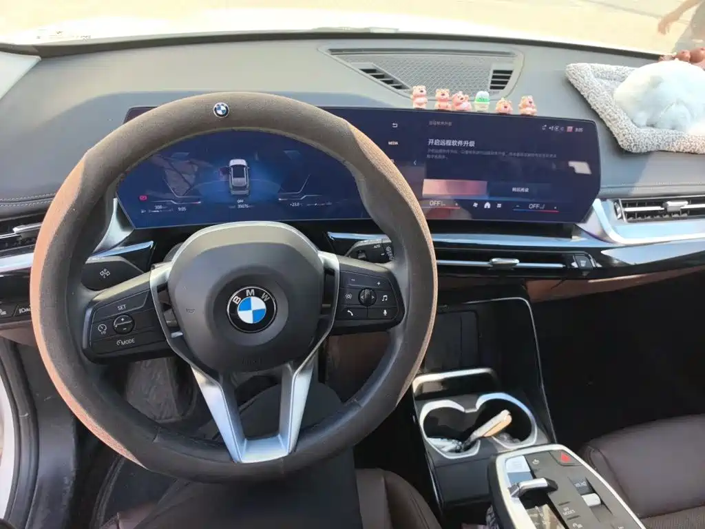 BMW X1 — миниатюра 10