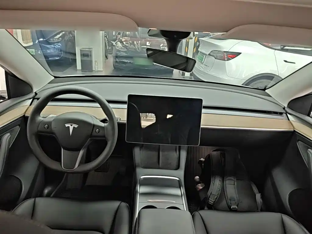 Tesla Model Y — миниатюра 10