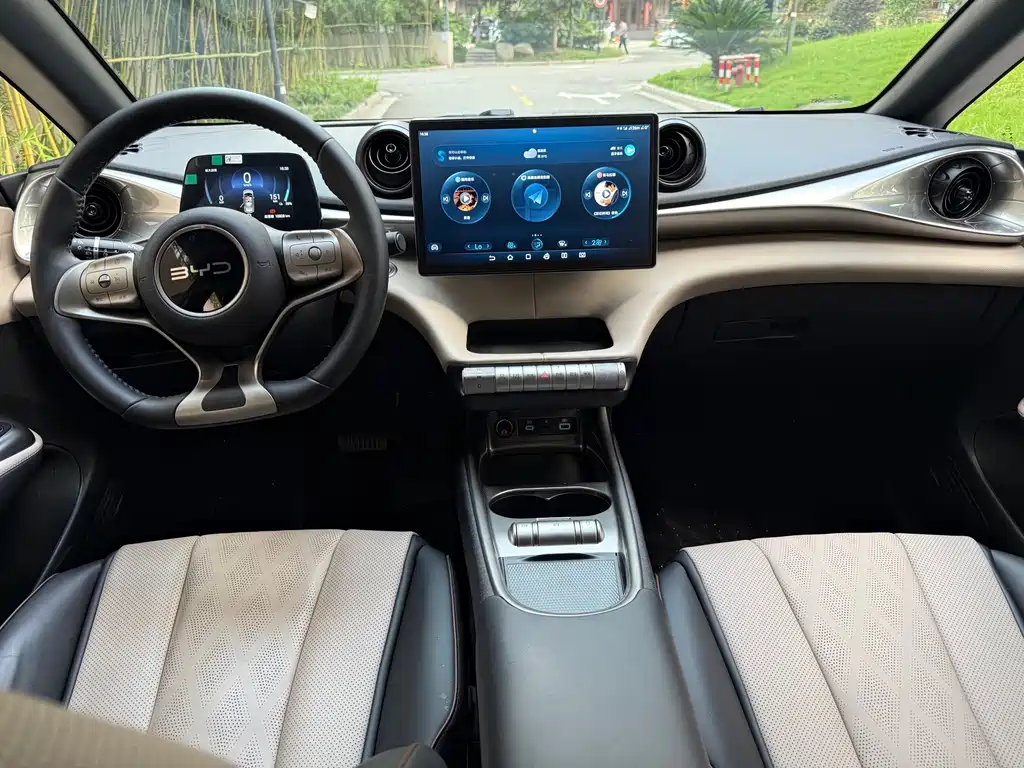BYD Dolphin — миниатюра 5
