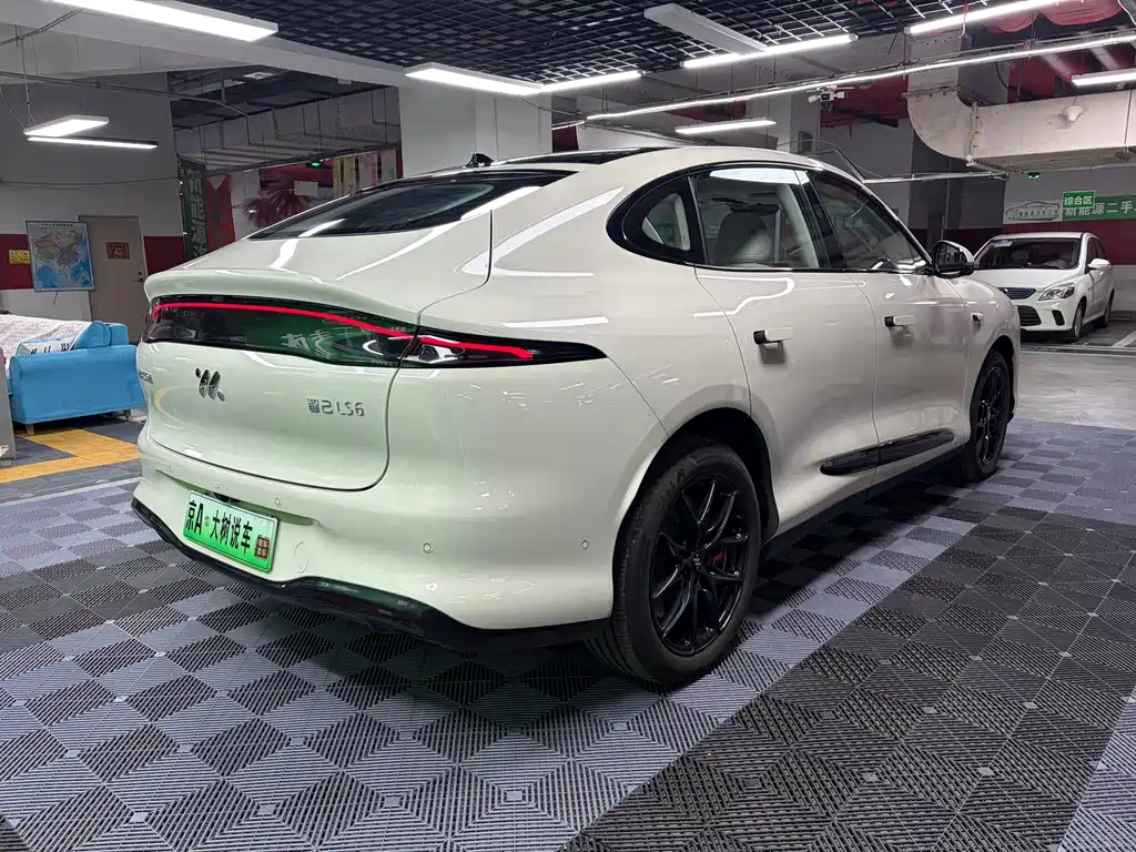 IM IM LS6 — миниатюра 7
