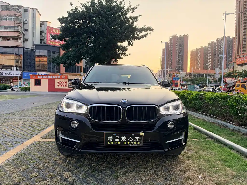 BMW X5 (Import) — миниатюра 2