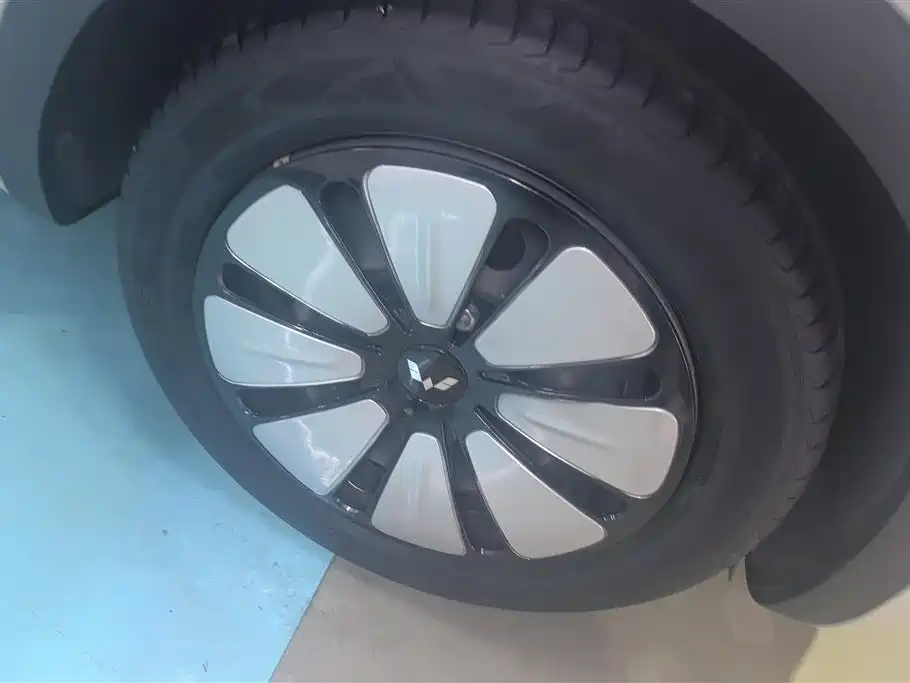 Wuling Binguo 2023 333km +