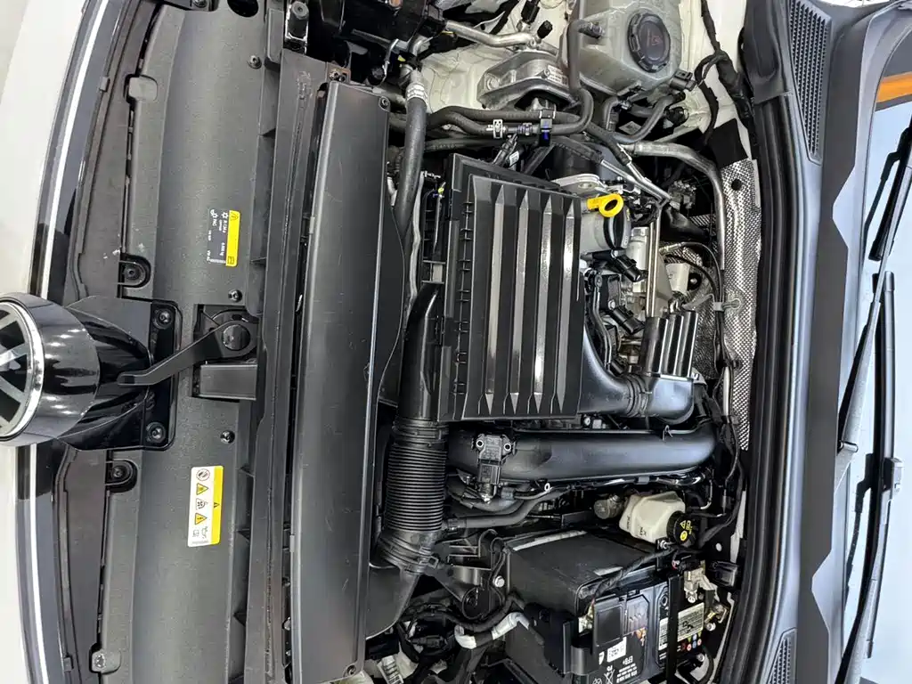 Volkswagen Lamando — миниатюра 7