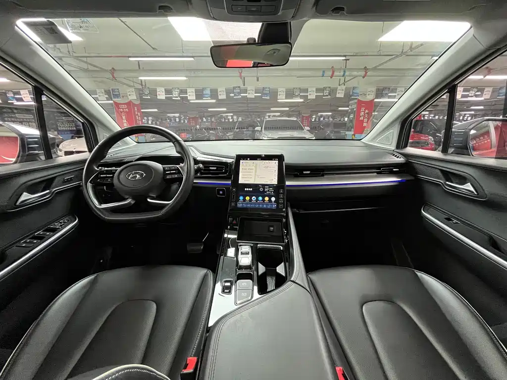 Hyundai Custo — миниатюра 17