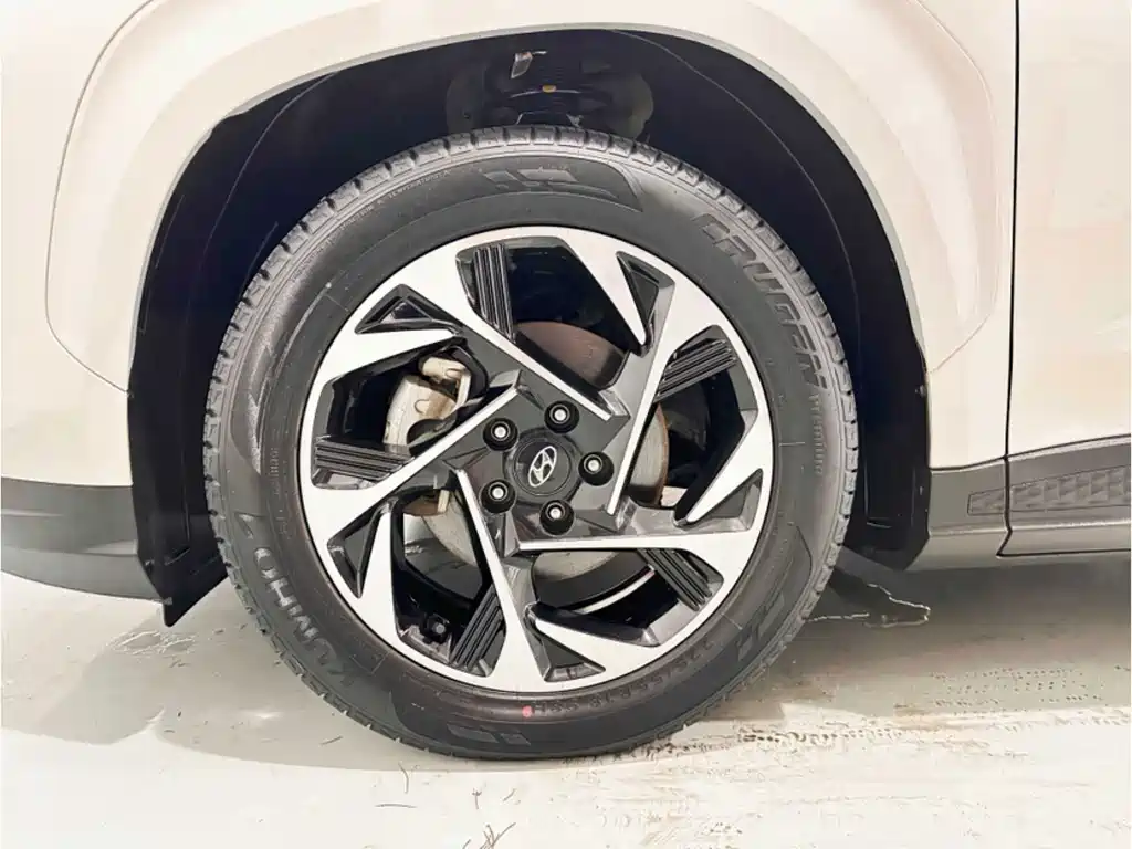 Hyundai Custo — миниатюра 14