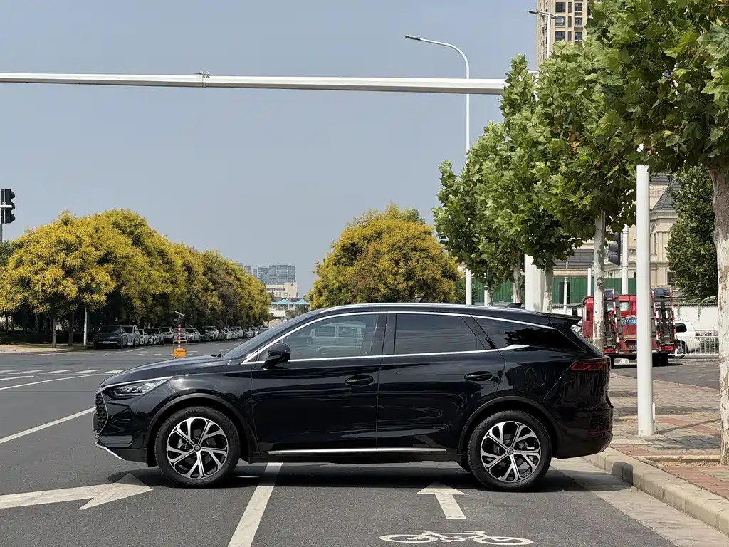 BYD Tang New Energy — миниатюра 4