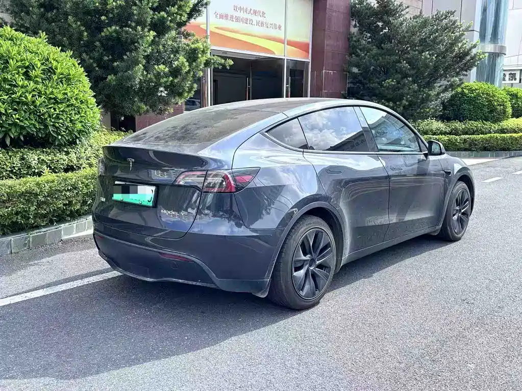 Tesla Model Y — миниатюра 6
