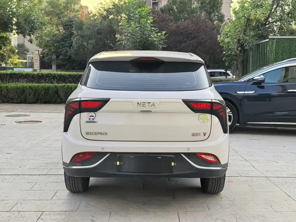 Neta Neta V — миниатюра 8