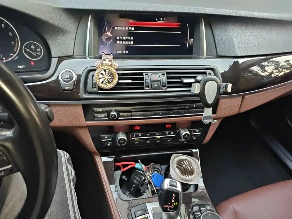 BMW 5 Series 5 2014 528Li Lead