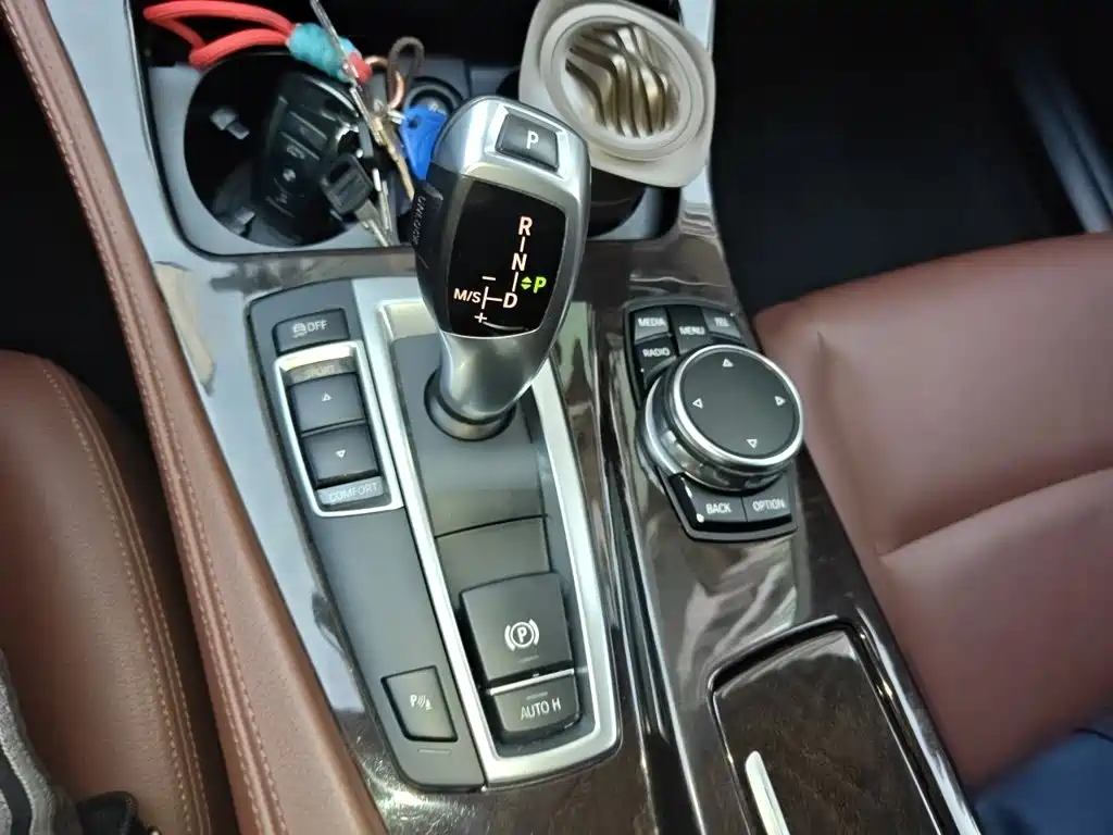 BMW 5 Series 5 2014 528Li Lead