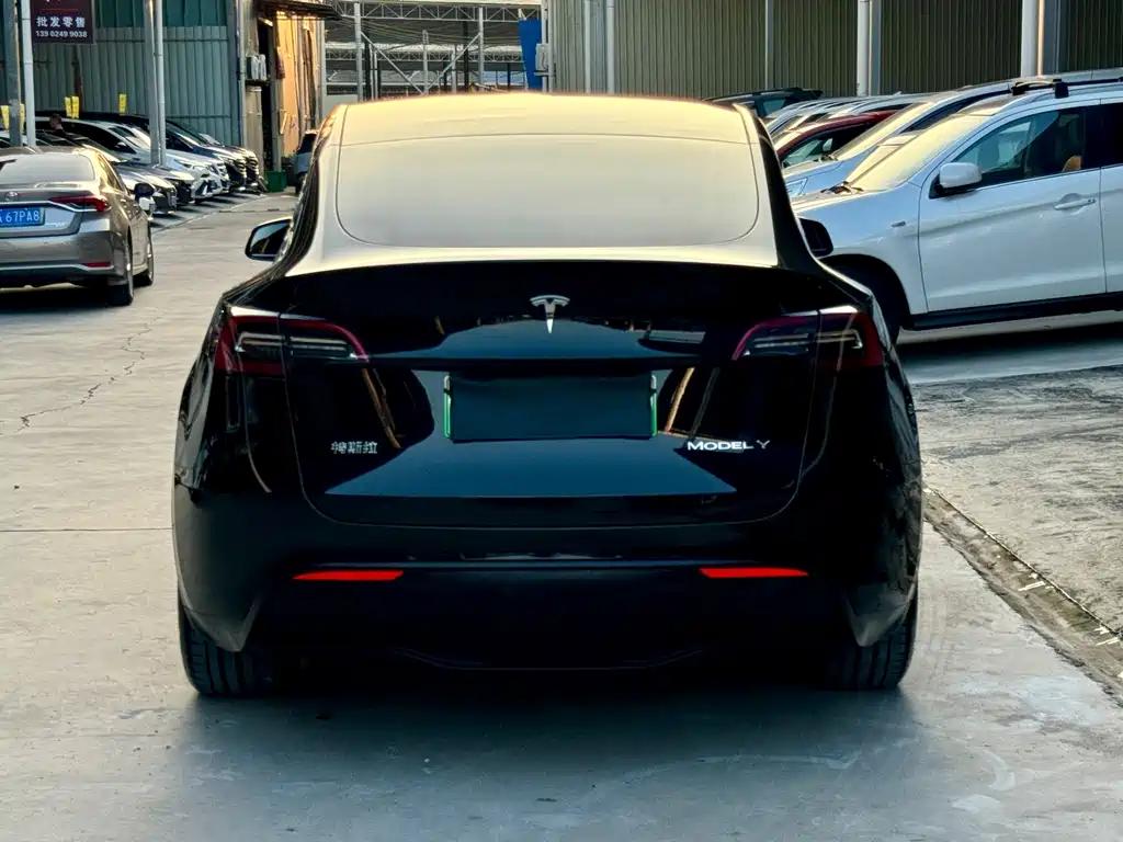 Tesla Model Y — миниатюра 5