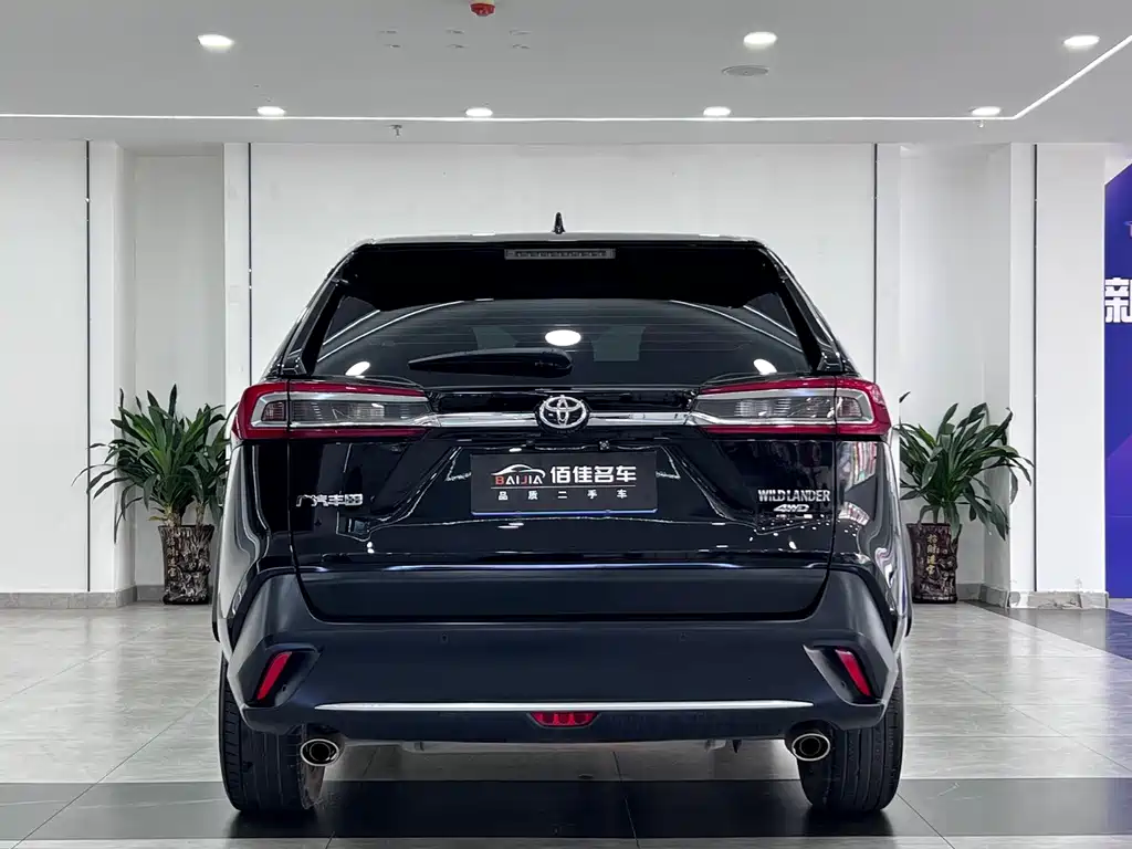 Toyota Wildlander 2.0L CVT 2WD Luxury Edition, фото 6