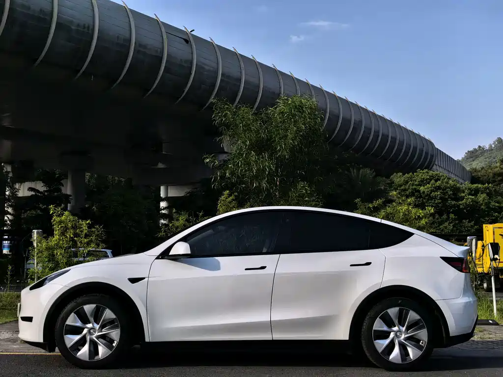 Tesla Model Y — миниатюра 4