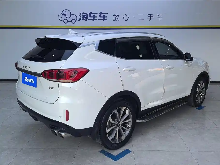 WEI PAI WEI BRAND VV6