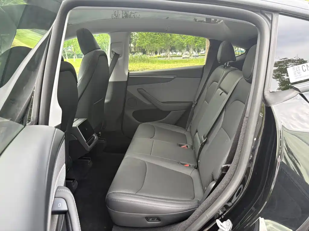 Tesla Model Y — миниатюра 10