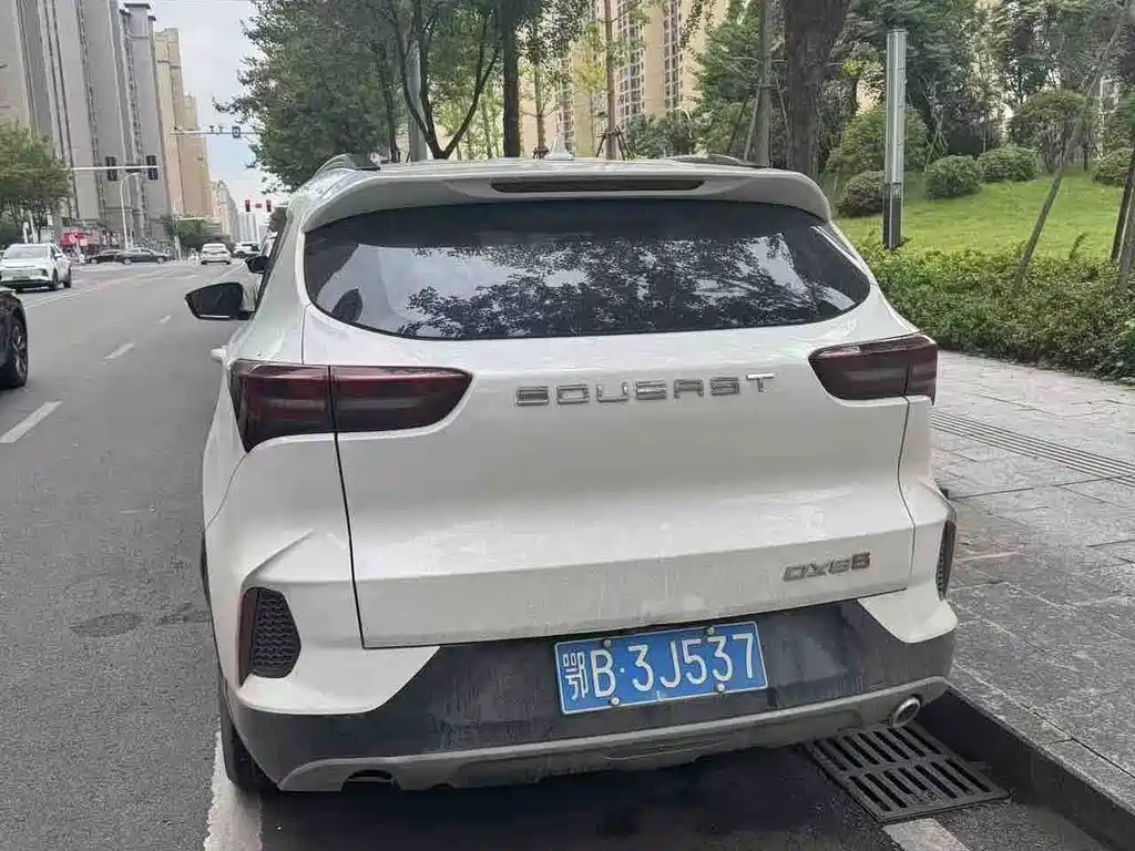 Soueast DX8S — миниатюра 8
