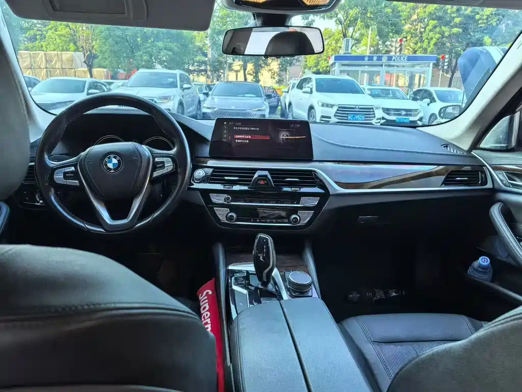 BMW 5 Series 525Li Luxury Package, фото 8