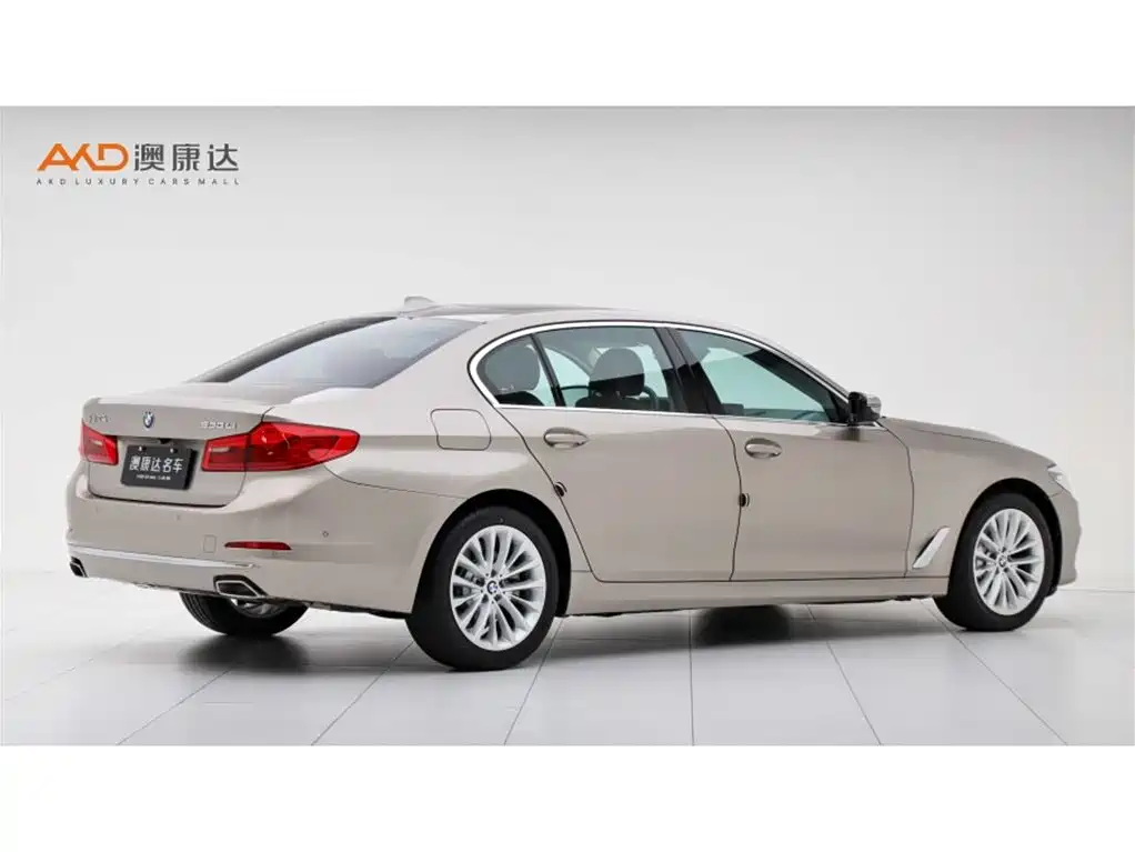 BMW 5 Series 5 2019 530Li Lead Luxury