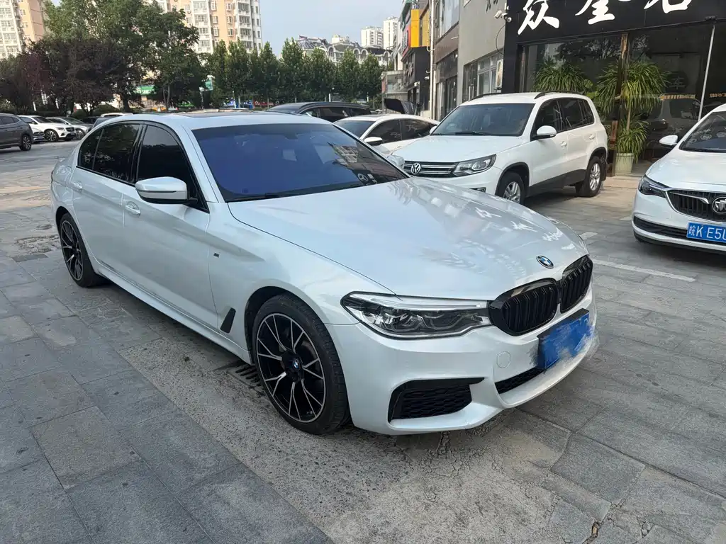 BMW 5 Series 530Li Premium Type M Sport Package, фото 3
