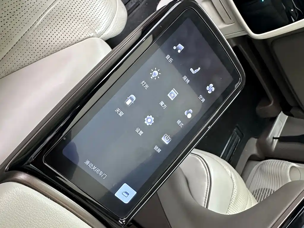 Denza Denza D9 — миниатюра 20