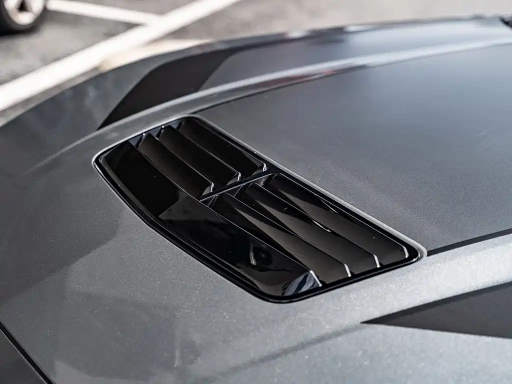 Ford Mustang 5.0L V8 Dark Horse, фото 8