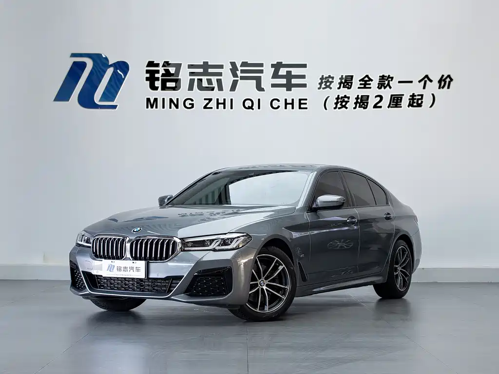 BMW 5 Series (Import) — миниатюра 2