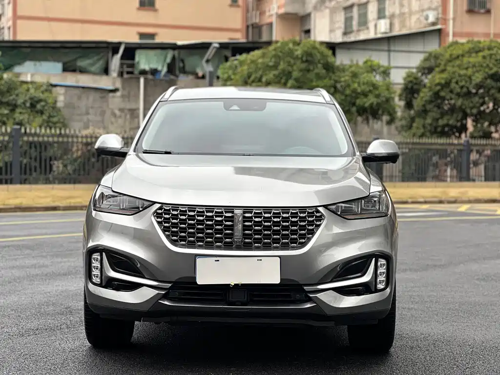 WEI PAI WEI BRAND VV6