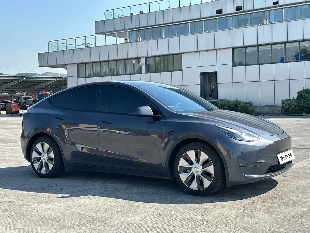 Tesla Model Y — миниатюра 3