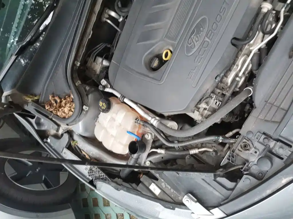 Ford Focus — миниатюра 22